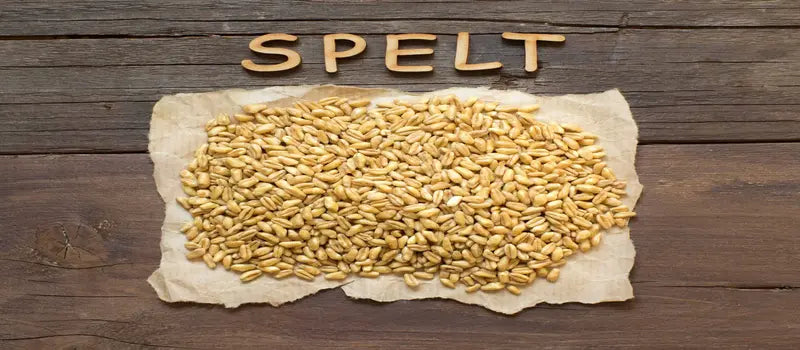 Spelt Grains