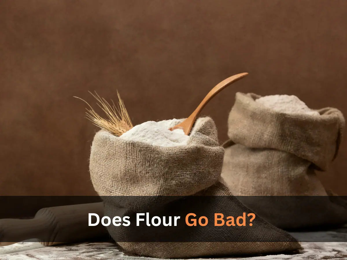 Does Flour Go Bad? A Life Cycle Rotimatic